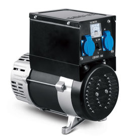 3.0KW Single Phase Alternator High Output Alternator 2 Pole Dynamo