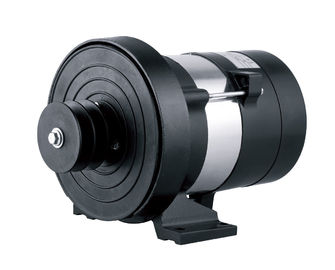 2KW Dynamo With Control Panel High Output Alternator High-Effency Key Shaft 19.05mm